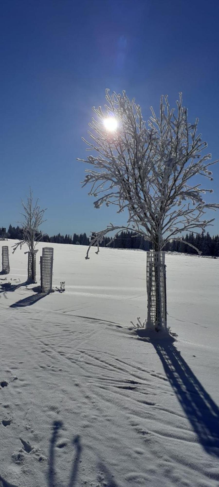 Restaurace A Penzion Vlci Jama Horni Blatna Luaran gambar